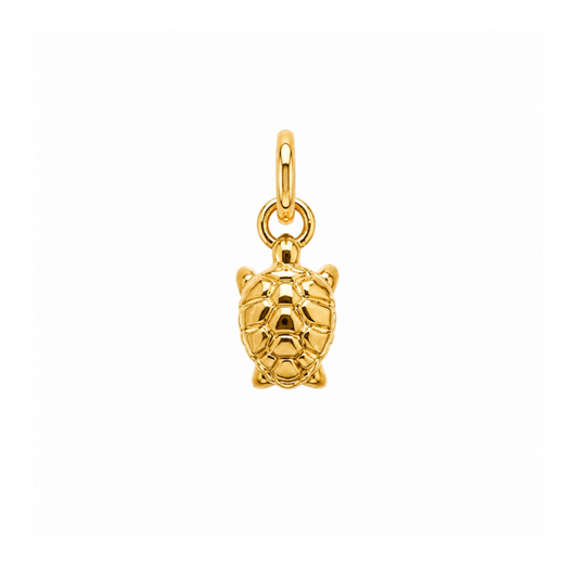 Tartaruga Pendant